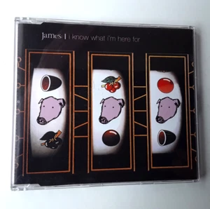 JAMES I Know What I'm Here For PROMO CD (1999 JIMCJ22) Rare UK Promo CD Great PS - Picture 1 of 3