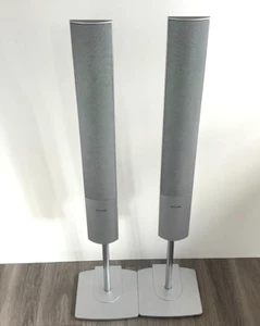 Altavoces de pie Panasonic - Plateados - Solo unidad - SB-FS840 - Envío gratuito - Imagen 1 de 9