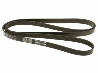 Cinturón multi costilla AM General Hummer 1994-2001 AC Delco 12499TD 1999 1995 1996 Foto 1 de 2