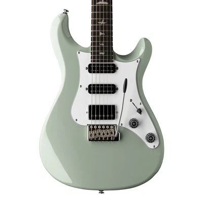 Guitarra Eléctrica PRS SE Studio Standard Palisandro - Gris Tono Plateado Foto 1 de 4