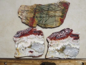 1699 CHERRY CREEK JASPER & 2 CRAZY LACE AGATE SLABS, OH MY. EX OLD ROCK SHOP - Picture 1 of 2