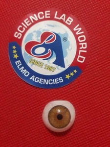 Ojos artificiales en tono marrón. - Imagen 1 de 5