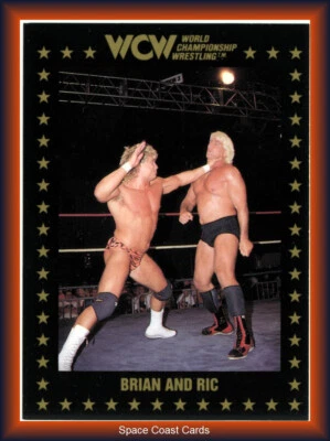 1991 Championship Marketing WCW Brian Pillman #61 Rookie RC Ric Flair - Image 1 of 2