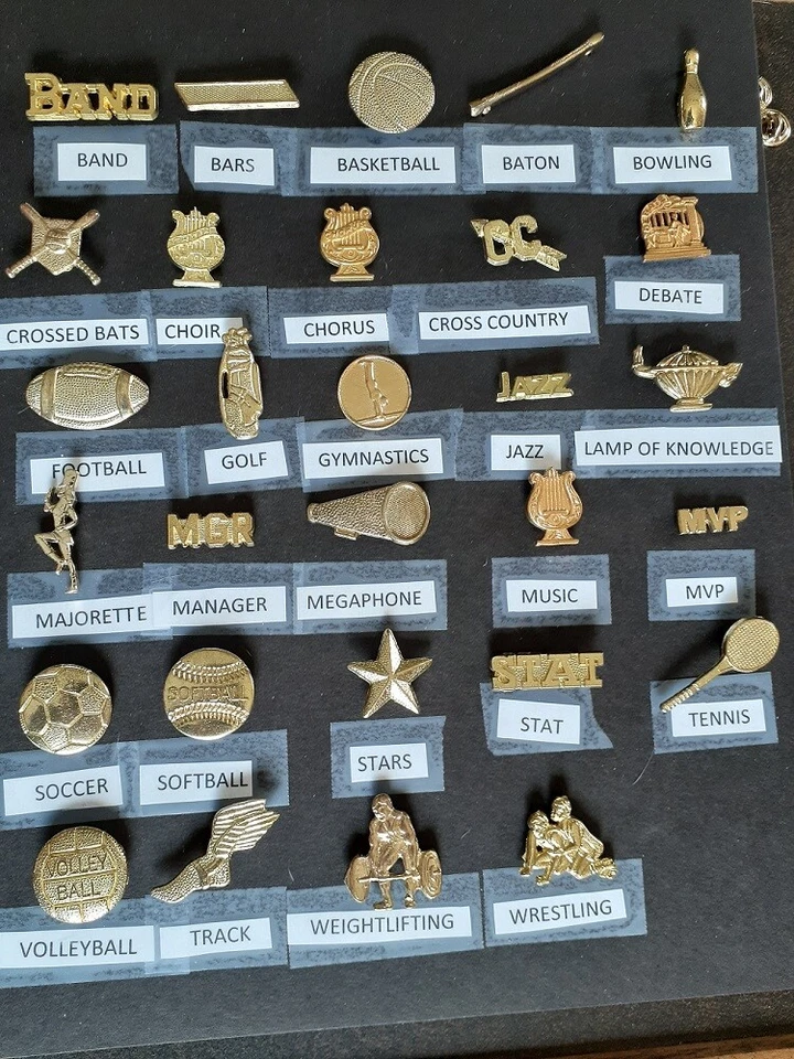 Varsity Letter Pins Chenille Insignia Sports Band Soccer softball - Image 1 of 1
