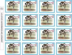 VERMONT STATE WATERBIRD - THE GREEN-WINGED TEAL - 12 PER SHEET - Bild 1 von 1