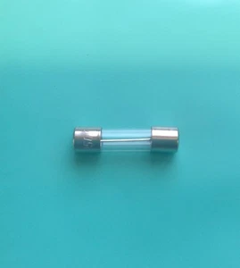 10 amperios F10A F10AL 250v fusible de vidrio soplado rápido 20 mm x 5 mm - paquete de 10 Reino Unido - Imagen 1 de 4