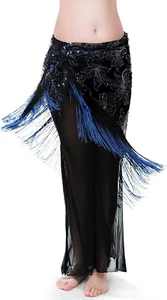 Sequin Belly Dance Hip Scarf - Fringe Costume - Picture 1 of 3
