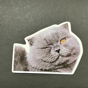 Gray Cat Wink - Vinyl Sticker Decal Smile Wink PVC Sticker Bomb Statement Blink - Picture 1 of 6