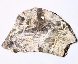 Losa grande de ágata Burro Creek púrpura para corte de cabina de joyería en bruto o muestra E6 - Imagen 1 de 6