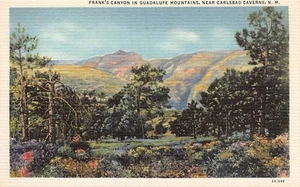 Postal casi nueva: Frank's Canyon, Montañas Guadalupe, Nuevo México, lino años 40 - Imagen 1 de 2