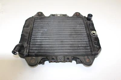 KAWASAKI NINJA 250R 1989 1990/92-07 OEM MOTOR RADIADOR MOTOR REFRIGERACIÓN Foto 1 de 4