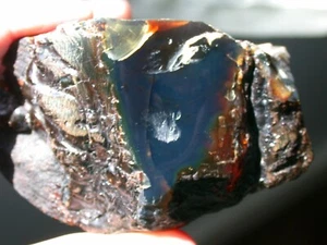 Beautiful Giant BLUE Amber Fossil Gemstone 216 gram Piece with Odd Skin - Picture 1 of 12