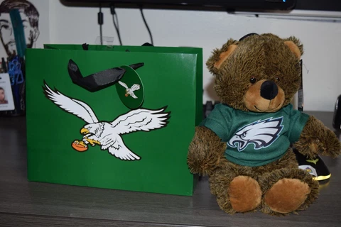 PHILADELPHIA EAGLES NFL TEDDY BEAR WITH EAGLES LOGO BAG NWT Cover