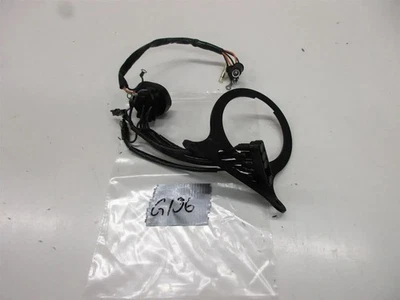 Tachohalter mit Kabelbaum G196. Harley Davidson Dyna Evo Instrument Beleuchtung - Bild 1 von 4