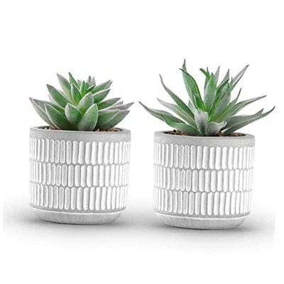 Der Rose Juego de 2 Plantas Suculentas Plantas Artificiales Falsas para Vivir Blanco-2 Foto 1 de 4