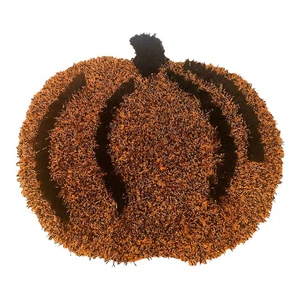 Pier 1 Imports Kürbis Teppich Halloween Herbst Ernte Deko 35x33 Shag Akzent Matte - Bild 1 von 7