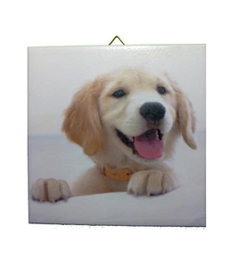 Azulejo decorativo mural imagen idea de regalo traer perro cachorro (037DP)  - Imagen 1 de 2