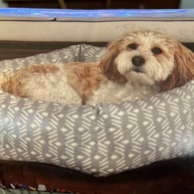 NEW Vibrant Life Lounge Pet Bed Small Up to 20 lbs Dog Cat 17 X 21 in - Image 1 of 4