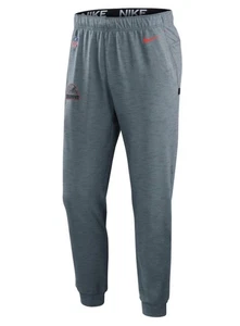 Nike Cleveland Browns Sideline Player Performance Lounge Pants Gray Mens Size M - Picture 1 of 3