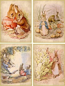 8 BEATRIX POTTER NOTE CARD SET WITH ENVELOPES AND ORGANZA BAG - Picture 1 of 3