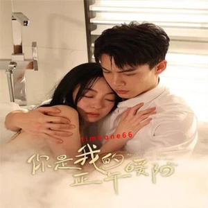 2025 Chinese Drama ZHENG WU NUAN YANG 你是我的正午暖阳 Chinese Sub BOXed 爱情 - Picture 1 of 3