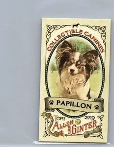2019 ALLEN AND GINTER COLLECTIBLE CANINES MINI #CC-14 PAPILLON - Picture 1 of 2