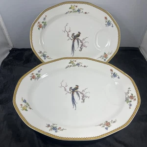2 Platters Meat Trays 13.5 15.75 Theodore Haviland Limoge Eden Bird Paradise - Picture 1 of 24