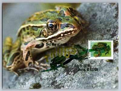 #5396 Northern Leopard Frog FDC Maxi Card w/DCP Cancel - Image 1 of 2