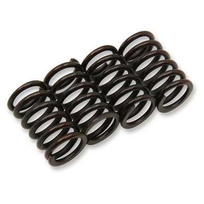 Kit de resorte de embrague Barnett para Kawasaki KEF300 2001-2003 Lakota Sport ATV Foto 1 de 2