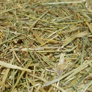 agrar-Store Heu 5Kg 2.Schnitt Grummet Kräuterheu Wiesenheu Kaninchenheu - Bild 1 von 1
