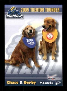 2009 MultiAd Sports Trenton Thunder 34 Chase & Derby Mascot BXCP24 - Picture 1 of 2