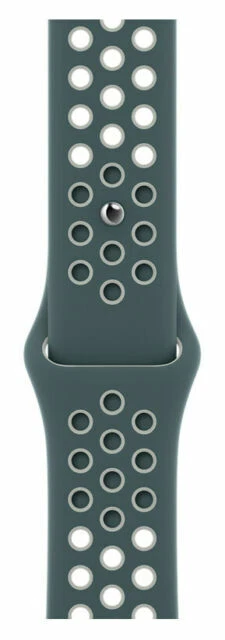 Apple Nike Sport Band for Watch Series 6 and SE - Hasta/Light Silver, Regular (44mm)