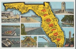 Florida, Large Letter, Map Card, Multi view. - Picture 1 of 3