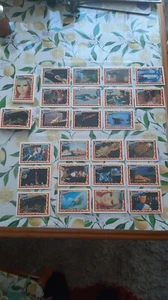 Topps Thunderbird Trading Cards 1993 - Bild 1 von 1