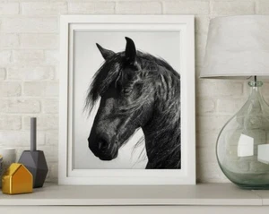 BW Horse Photography Wall Fine Art Poster Print. Great Farmhouse Home Decor - Picture 1 of 4