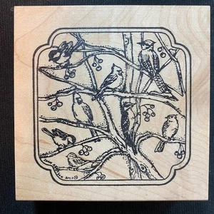 Wintervögel auf nackten Ästen Stempel Kardinal Küken Eichelhäher Specht - Bild 1 von 4