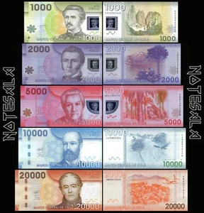 SET CILE 5 PEZZI 1000,2000,5000,10000 & 20000 PESOS 2009/2019 Pick-161 a 165 UNC - Foto 1 di 1