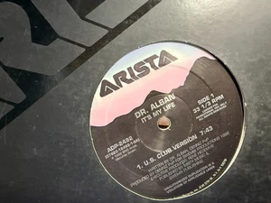 DR ALBAN It's My Life 12" 1993 ARISTA ADP-2492 euro house DJ PROMO - Picture 1 of 2