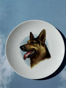 Collector's Plate German Shepherd by Bavaria Schumann Arlberg  7.5" Golden Crown - Picture 1 of 4