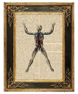 Circulatory System Art Print on Vintage Book Page Medical Anatomy Illustration - Picture 1 of 3