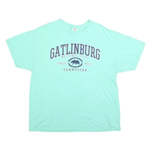 FRUIT OF THE LOOM Mens Blue Gatlinburg Tennessee Print T-Shirt XL Crew Neck - Picture 1 of 6