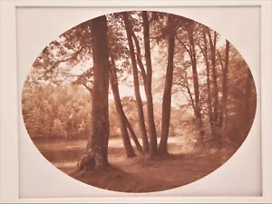David A Hanson "Bäume bei Korinth" - Bild 1 von 5