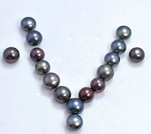 42.50Ct Natural Tahitian Black Blue south Sea Pearl Half Drilled 16 Pcs Gems lot - Picture 1 of 6