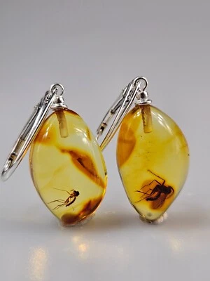 Earrings with insects, Fossil in Baltic Amber, RANDOM earrings with inclusions - Image 1 of 4