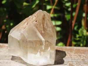 Unique Rare Selenite Gypsum Crystal 96 Grams South Australia 45mm Tall Mineral - Picture 1 of 7