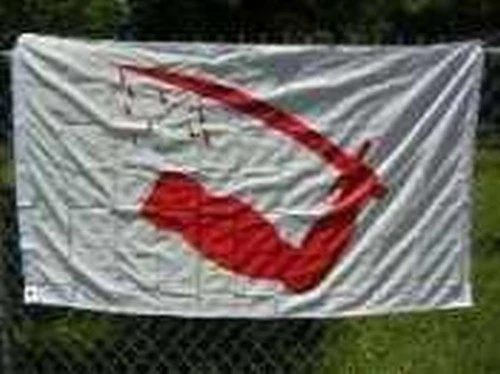 Bandera Dimmit's Goliad 3x5 pies Declaración de Independencia de Texas Brazo Sangriento Texano Foto 1 de 1