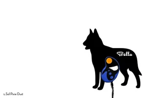 Belga Malinois Perro - Nombre Personalizado Perro Correa - Gancho de Pared - Imagen 1 de 3