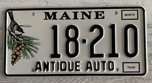 Placa de matrícula automática antigua de Maine #18-210 sin usar logotipo de chickadee sin pegatinas - Imagen 1 de 6