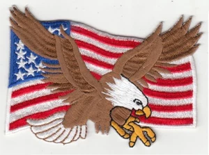 50 Pcs Flying Eagle on USA Flag Embroidered Patches 3.5"x2.5" iron-on - Picture 1 of 1