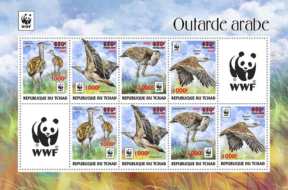 WWF AVUTARDA Pájaros LÁMINA ROJA SOBREIMPRESIÓN MNH 8v-Hoja de sello #2 (2020 Chad) Foto 1 de 1